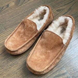 UGG Men's Ascot Slipper chestnut suede and sheep wool lined slip ons